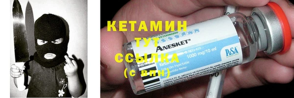 СК Алексин