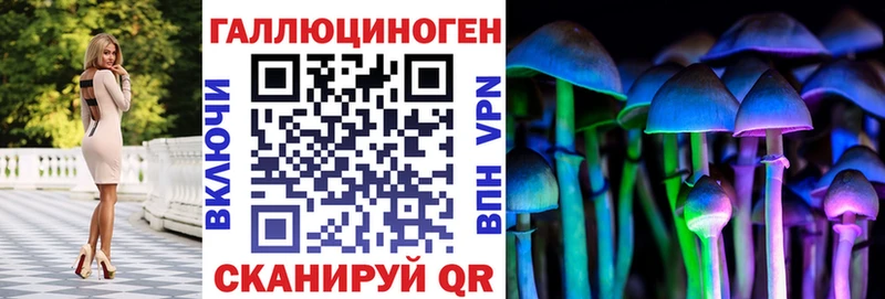 где купить наркоту Алзамай Псилоцибиновые грибы Psilocybe